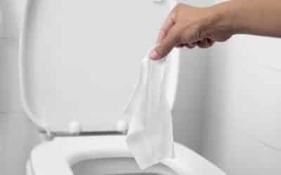 Blog 7 The truth from your plumber: yes, baby wipes clog toilets. Here’s why