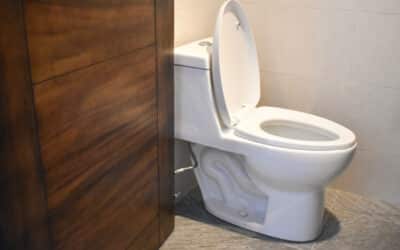Blog 8 A professional take: is poo pourri plumbing safe for your pipes?