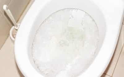 Blog 5 Why is my toilet running? Troubleshooting tips for homeowners